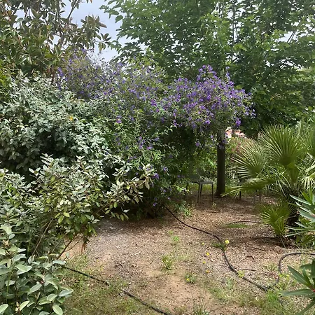 Les Maristella, De Gamme A Deux Pas De La * Aregno