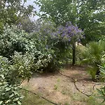 Les Maristella, Résidence De Gamme à Deux Pas De La * Aregno