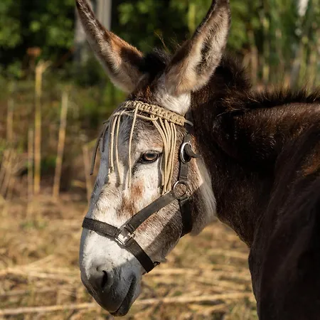 Semesterbostad Les Maristella, De Gamme A Deux Pas De La