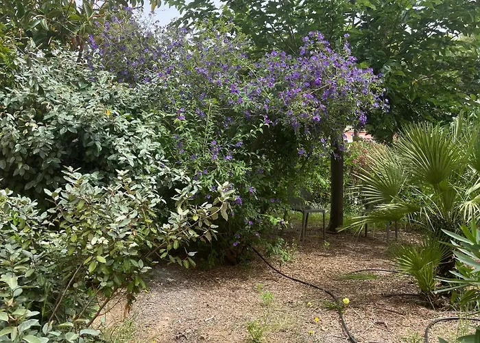 Les Maristella, De Gamme A Deux Pas De La * Aregno