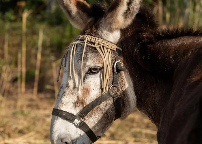 Prázdninový dům Les Maristella, De Gamme A Deux Pas De La